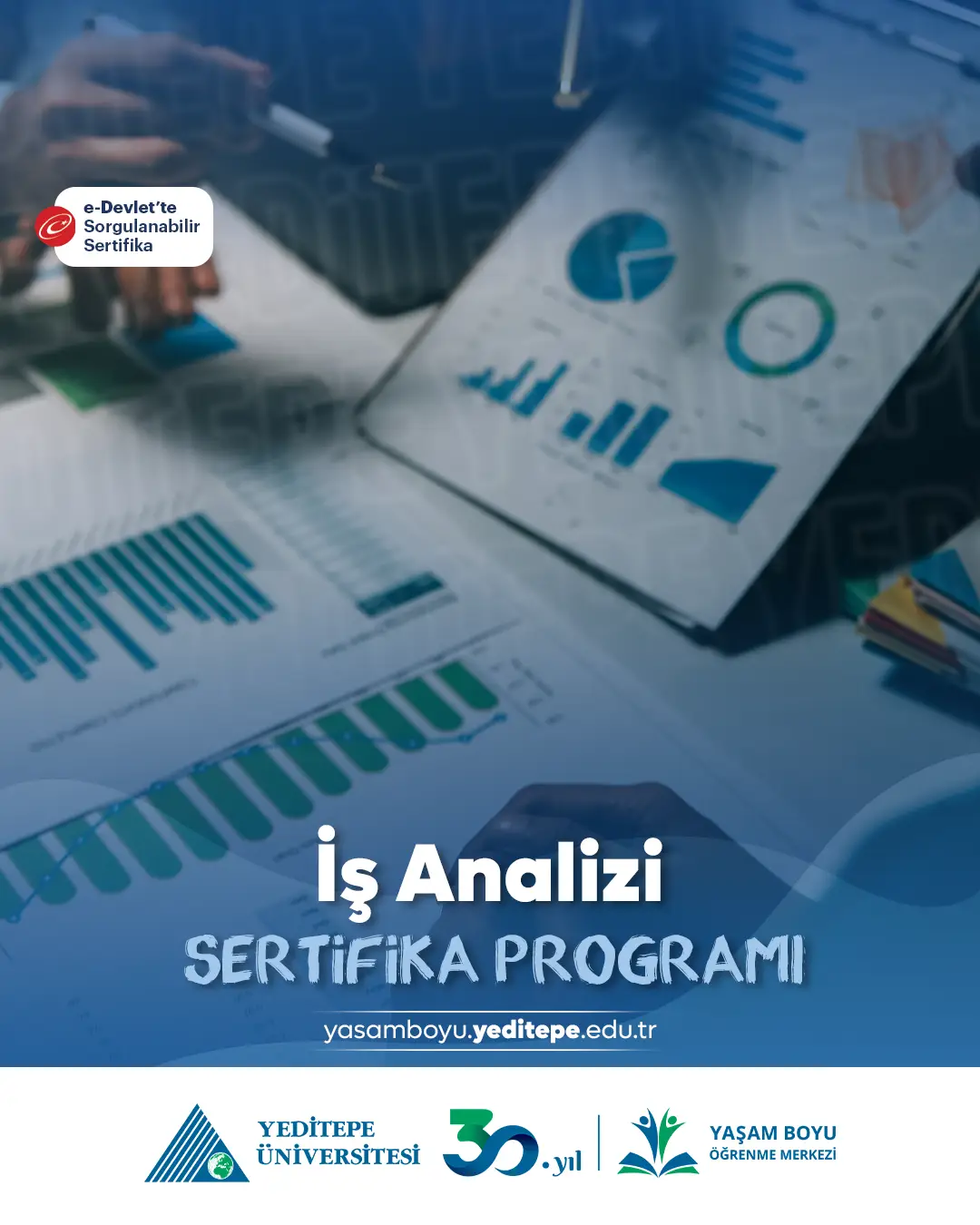 İş Analizi Sertifika Programı