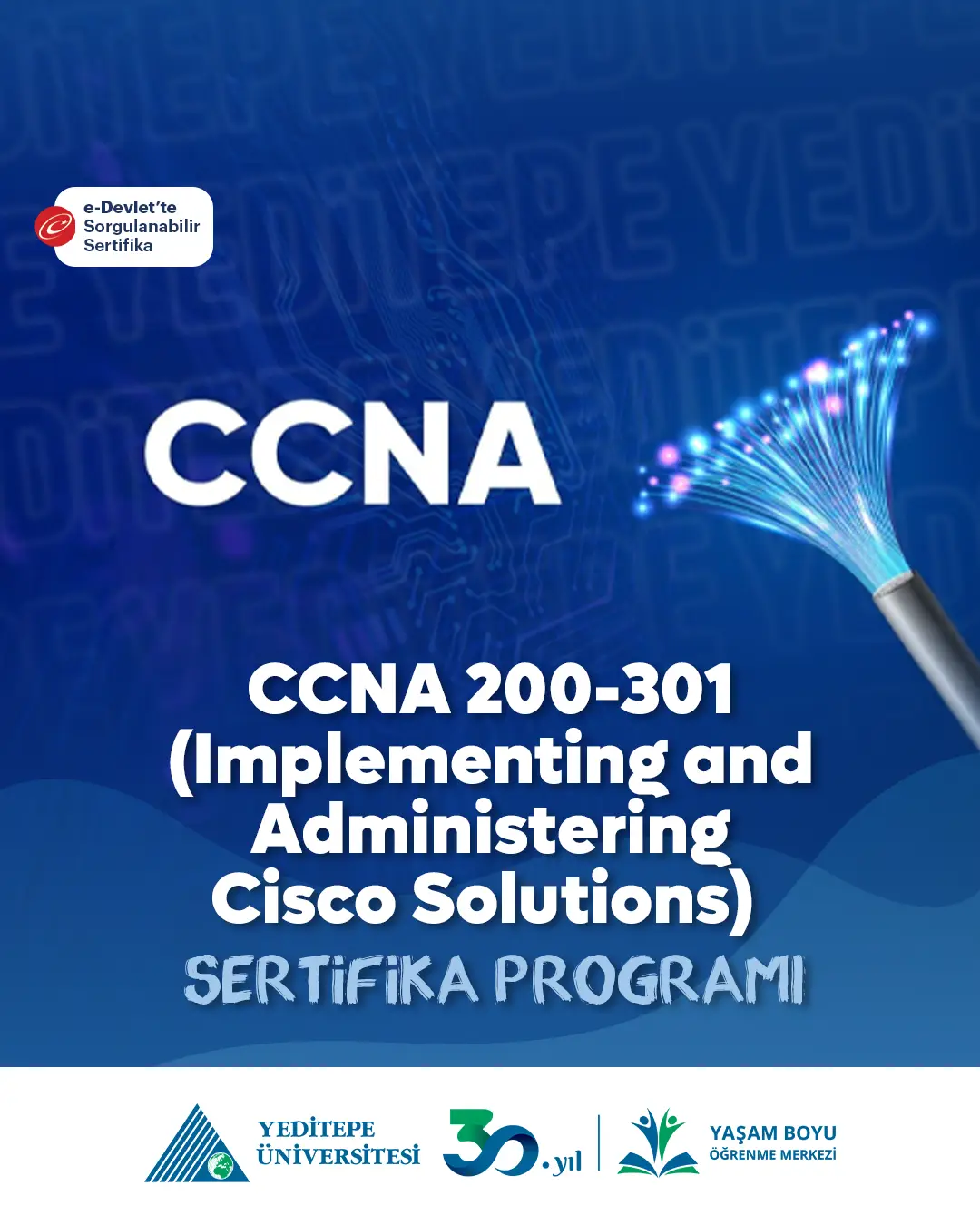 CCNA 200-301 (Implementing and Administering Cisco Solutions) Eğitimi