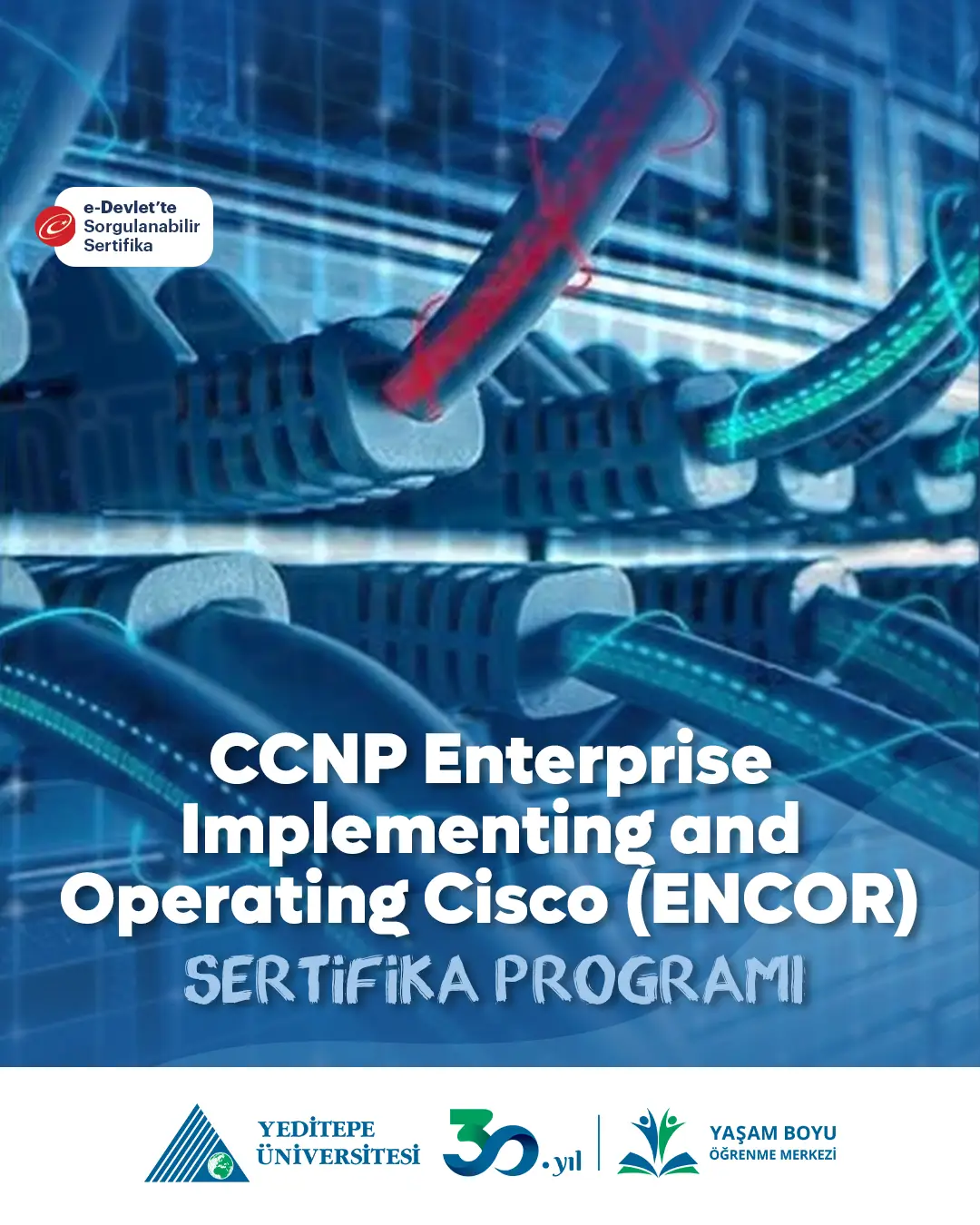 CCNP Enterprise - Implementing and Operating Cisco (ENCOR) Eğitimi