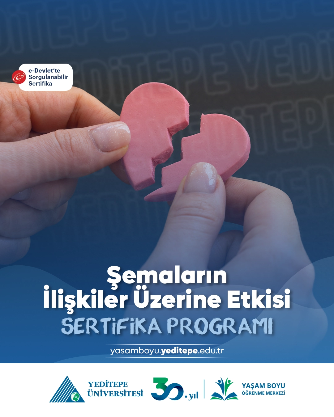 Şemaların İlişkiler Üzerine Etkisi Sertifika Programı
