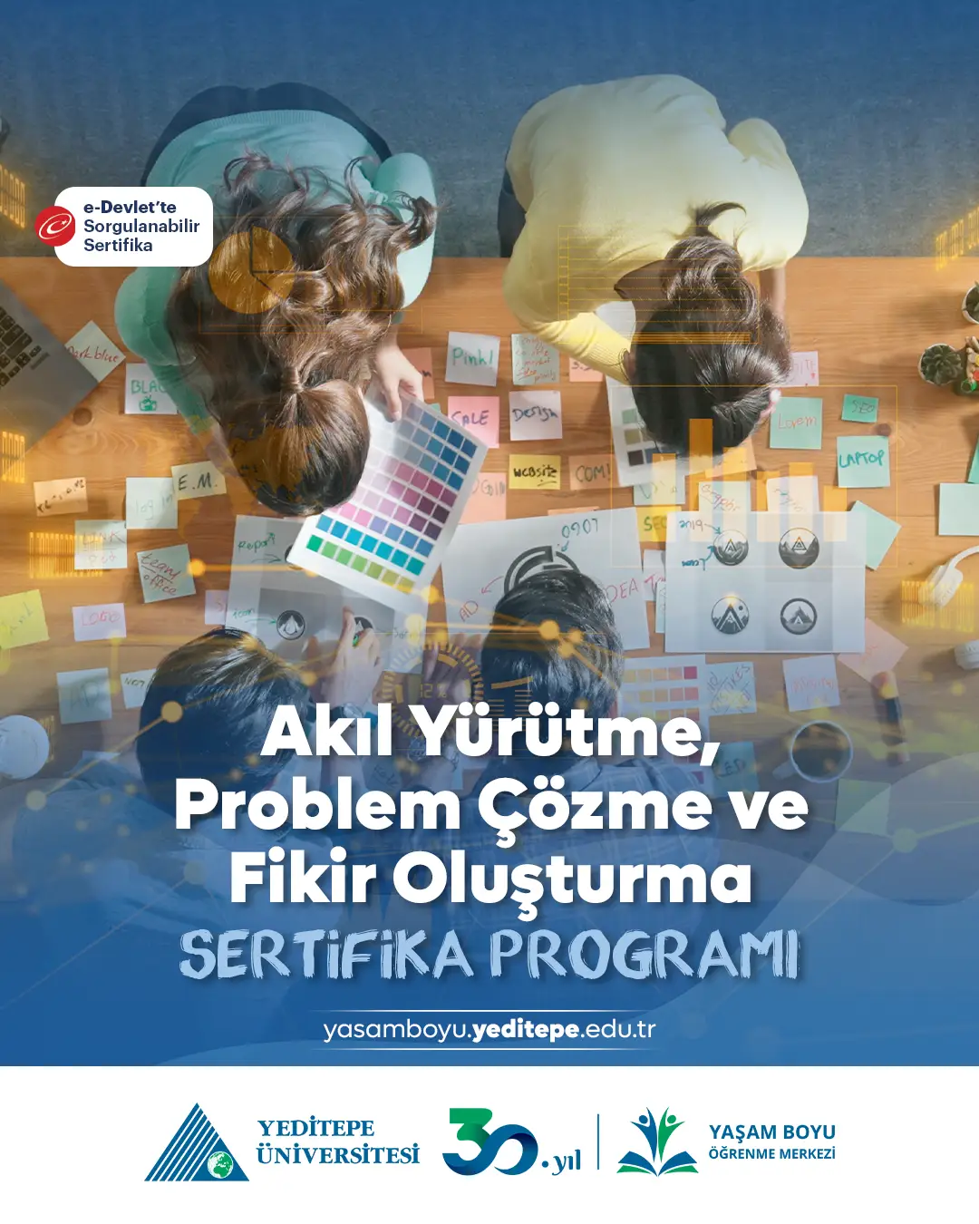 Akıl Yürütme, Problem Çözme Ve Fikir Oluşturma Sertifika Programı