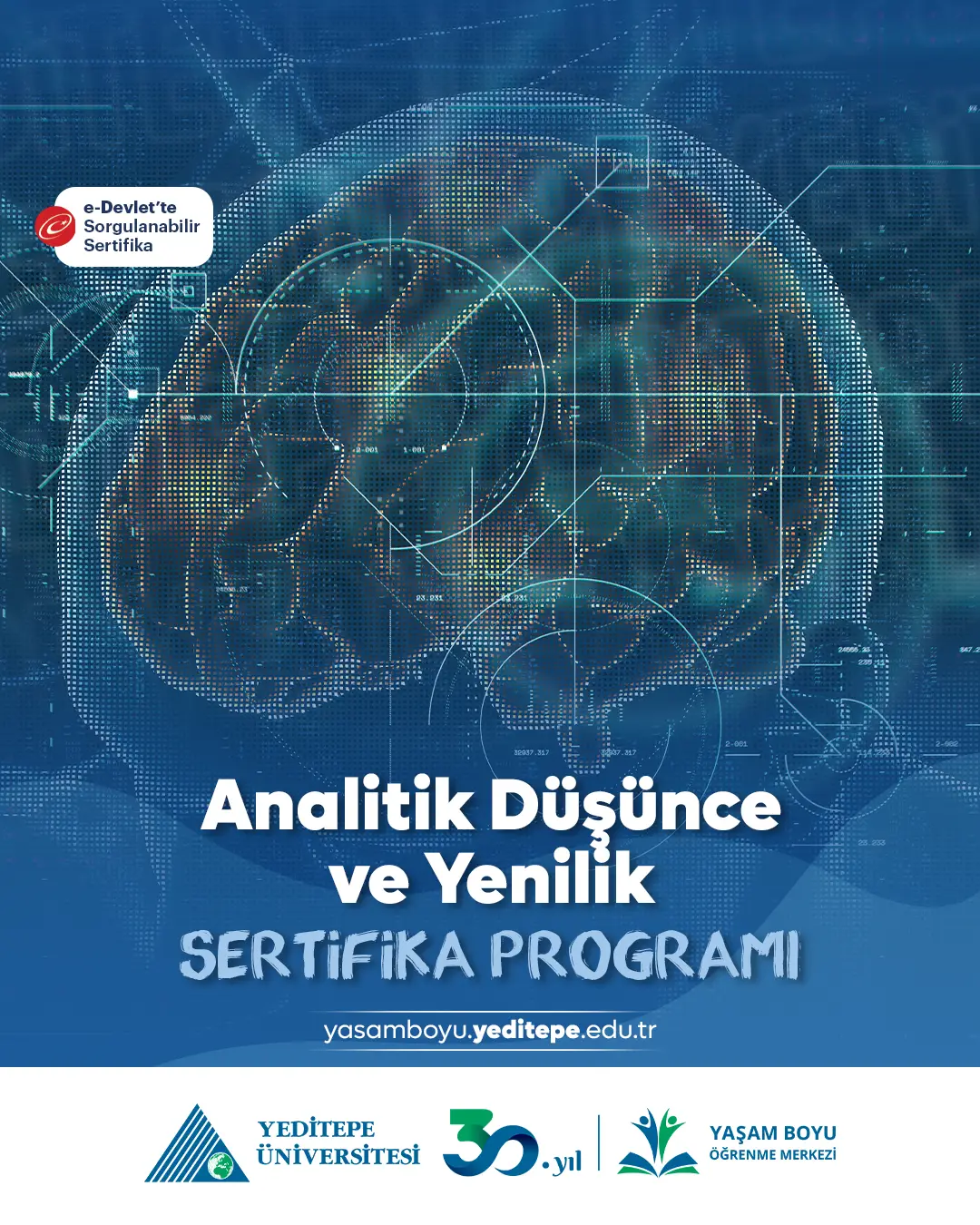 Analitik Düşünce Ve Yenilik Sertifika Programı