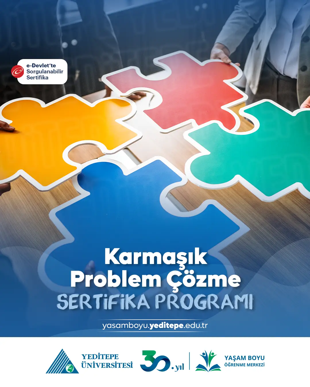 Karmaşık Problem Çözme Sertifika Programı