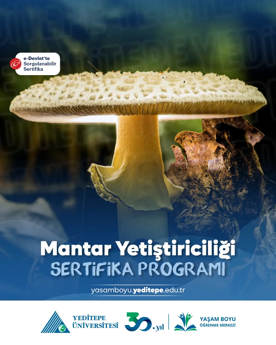Mantar Yetiştiriciliği Sertifika Programı