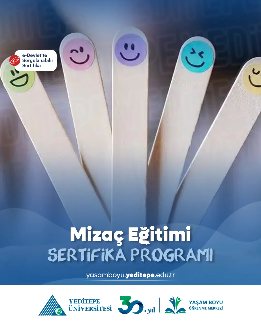 Mizaç Eğitimi Sertifika Programı