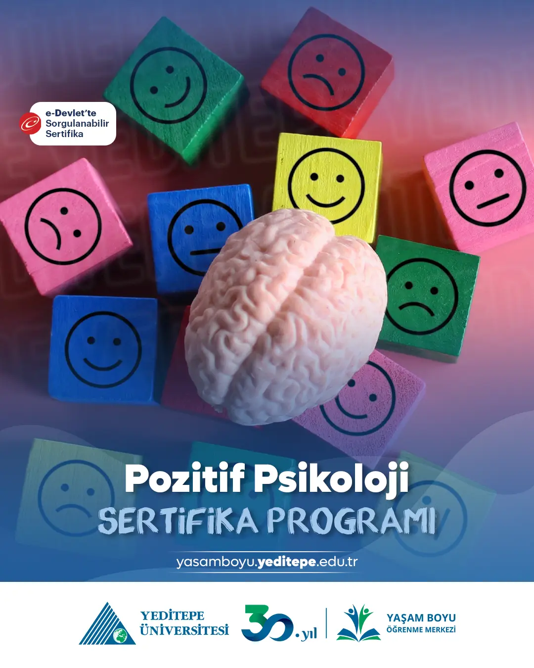 Pozitif Psikoloji Sertifika Programı